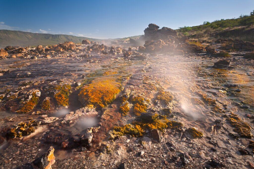 Colorful Hot Springs At Lake Bogoria, Kenya